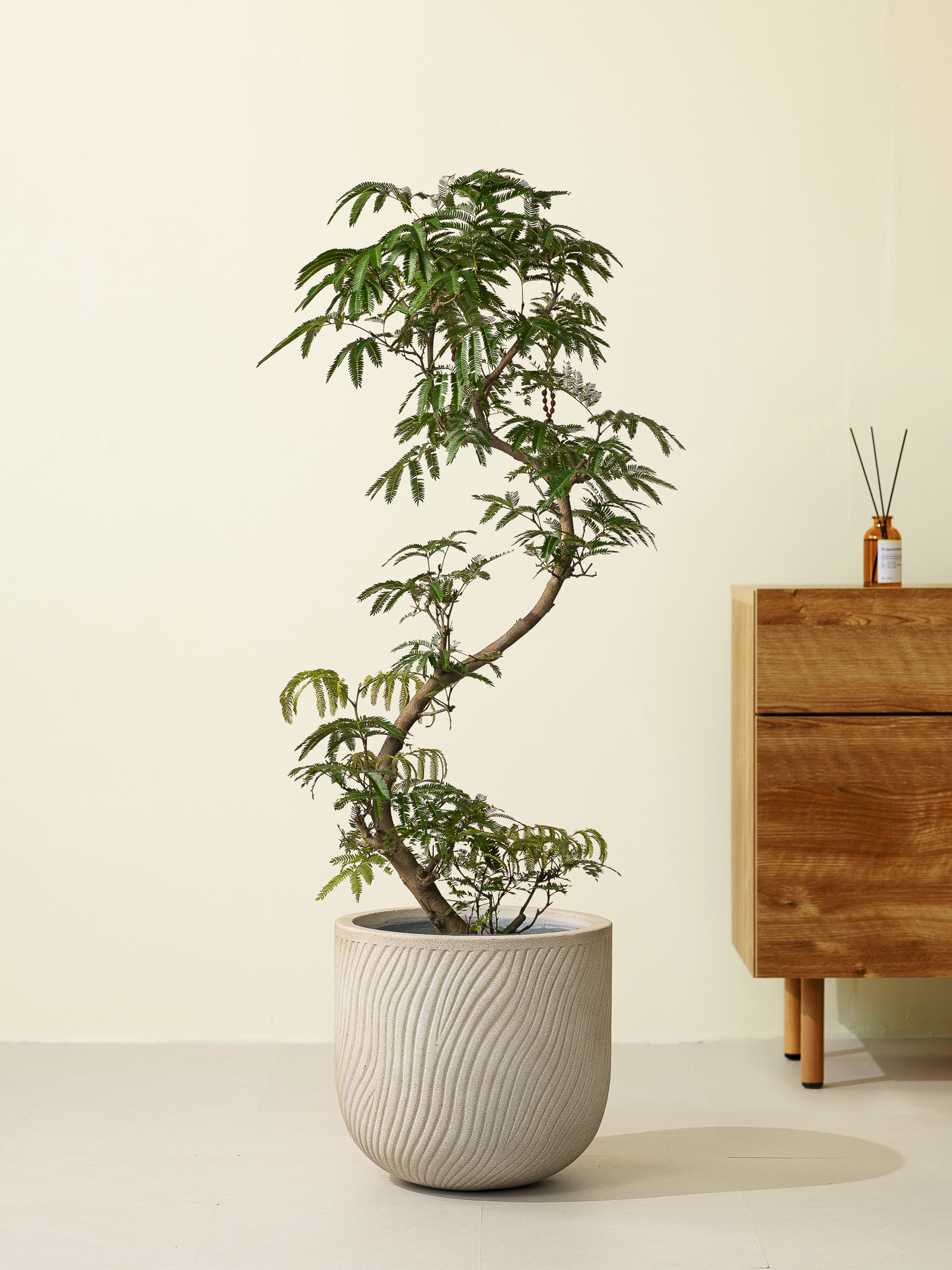 エバーフレッシュ S字 XL × ラケルタL ベージュ – GREEN BASE