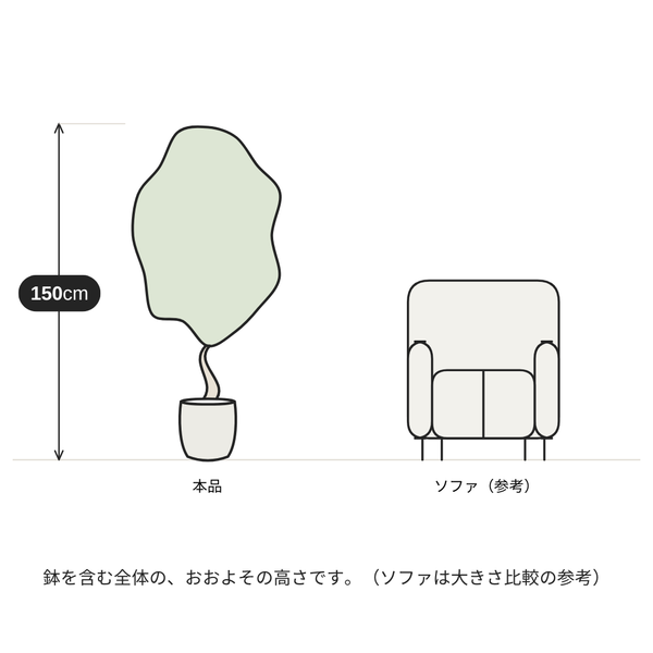 高さ